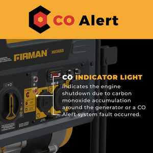FIRMAN Dual Fuel Portable Generator Recoil Start, 4,550/3,650W, view 6