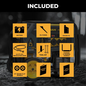 FIRMAN Dual Fuel Portable Generator with CO Alert Electric Start, 10,000/8,000W 120/240V, view 3