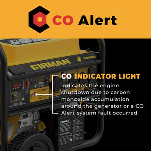 FIRMAN Gas Portable Generator with CO Alert Remote Start, 10,000/8,000W 120/240V, view 6