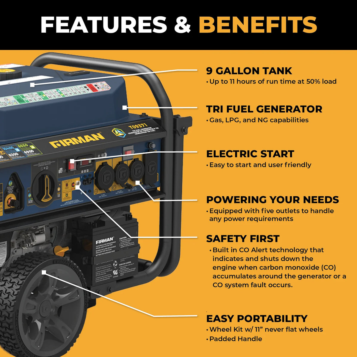 FIRMAN Tri-Fuel Portable Generator Electric Start, 11,600/9,300W, view 12