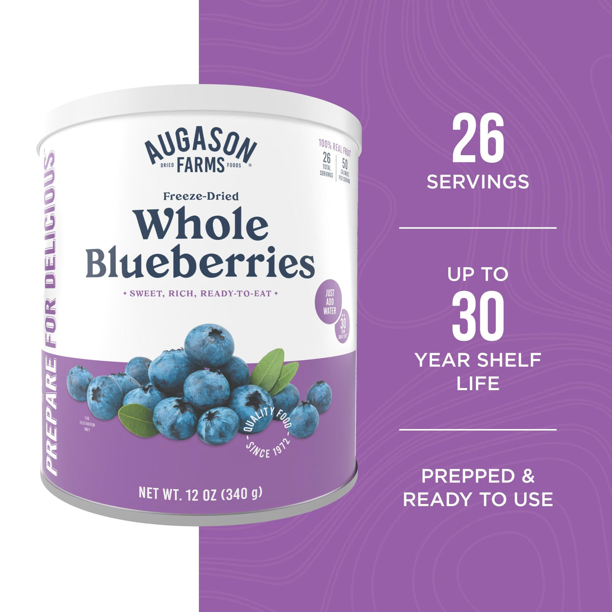 Augason Farms Freeze Dried Whole Blueberries Can, 26 Servings, view 2