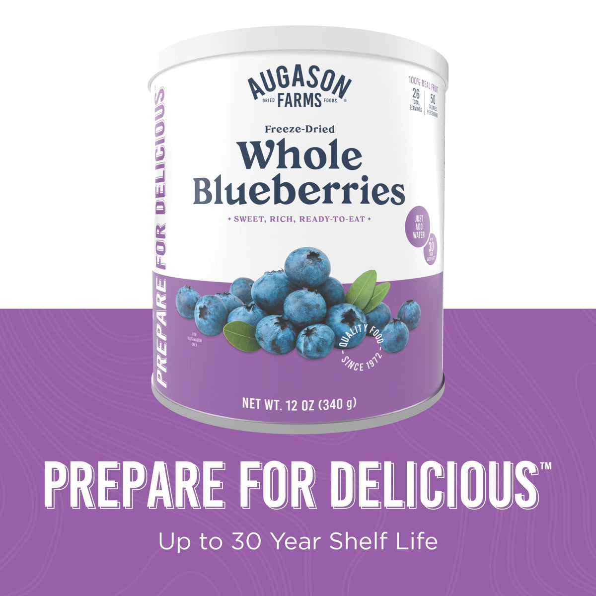 Augason Farms Freeze Dried Whole Blueberries Can, 26 Servings, view 8