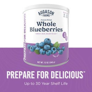 Augason Farms Freeze Dried Whole Blueberries Can, 26 Servings, view 8